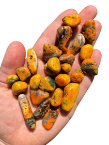 Bumble Bee Jasper Tumbled Stone - Polished